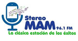 Radio Stereo Mam
