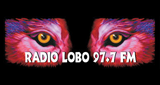 97.7 Radio Lobo