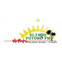 FUTURO FM 91.3 MHZ - LRH 790