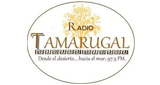 Radio Tamarugal