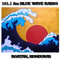 101.1fm Blue Wave Radio