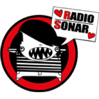 Radio Sonar Project