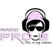 Radio Pro-B