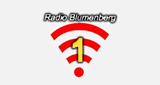 Radio Blumenberg 1