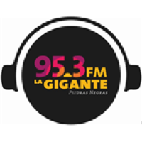 La Gigante 95.3 FM - XEGN