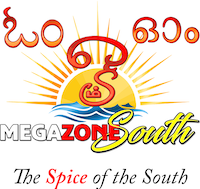 Megazone South