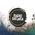 Radio Divjaka