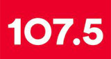 Rádio pau-brasil FM