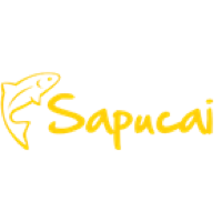 SAPUCAI FM