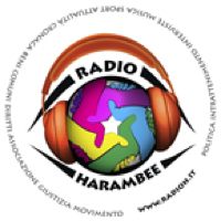 Radio Harambee