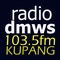DMWS FM