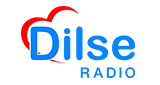 Dilse Radio