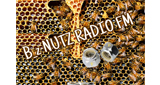 B_z nutz radio FM