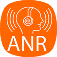 Air network radio