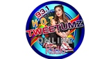 93.1 Hot Tweetumz Online Radio