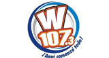 Radio W107.3