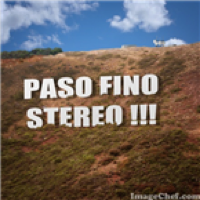 Pasofino Stereo