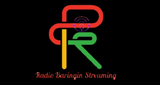Radio Baringin Streaming