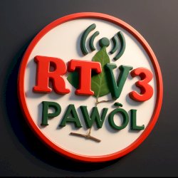 RTV3PAWOL